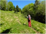 Planina Kuhinja - Planica below Krn